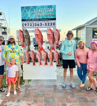 Snappers and Groupers from FL